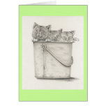 Kitties Greeting Cards