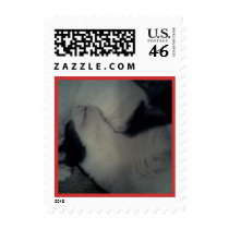 Kitties in Love Stamps