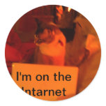 Kitties on the Intarnet Kitties on the Intarnet