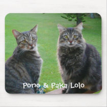 Kitties  Pono & Paka Lolo mousepads