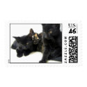 kitties postage