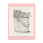 Kitties Post Card