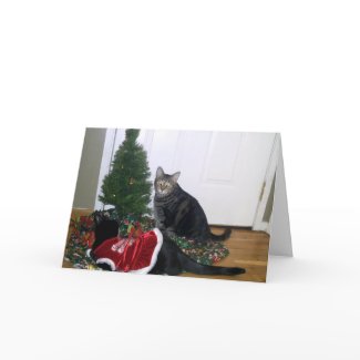 Kitties with Christmas Tree Greeting Card card