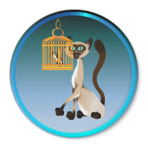 Kitty and Bird Magnet magnets