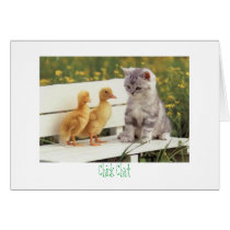 kitty and ducks Chick Chat cards