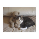 Kitty and Teddy postcards