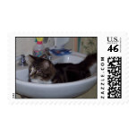 Kitty Bath postage