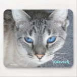 Kitty Blue Eyes - Name Personalized Mouse Pad mousepads