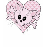 Kitty Bones t-shirts
