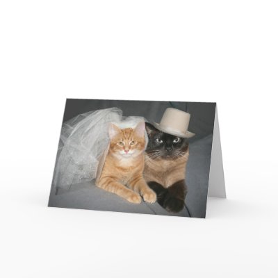 Kitty bride and groom card
