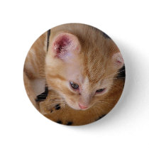 KITTY buttons by MOMKAY KITTY buttons