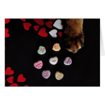 Kitty Candy Hearts Valentine's Day Card cards