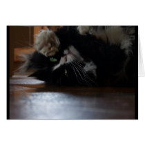 Kitty Card