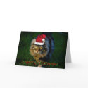 KITTY CAT CHRISTMAS cards by GOLDENJACKAL KITTY CAT CHRISTMAS cards