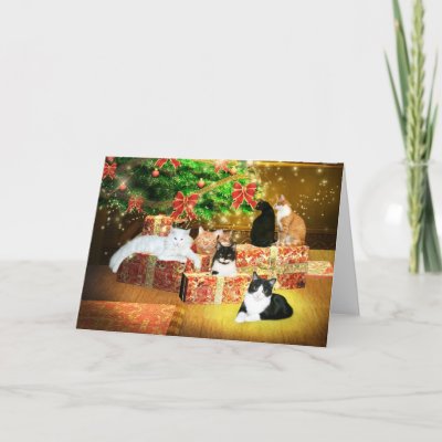 Kitty cat Christmas Cards