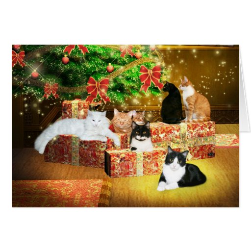 Kitty cat Christmas Cards | Zazzle