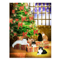 Kitty cat Christmas Postcard