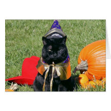 Kitty Cat Dressed for Halloween Cards