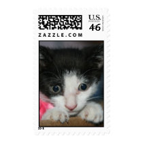 Kitty Cat For Adoption postage by smigrod Kitty Cat For Adoption postage