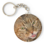 kitty cat kisses key chain