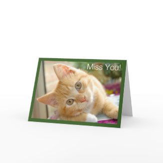 Kitty Cat - Kitten Miss You Card card