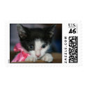 Kitty Cat postage by smigrod Kitty Cat postage