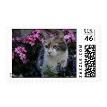 Kitty Cat Postage postage