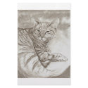 Kitty Cat stationery