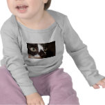 Kitty Cat Tees