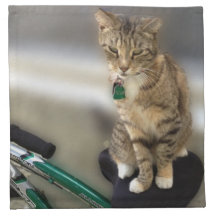 Kitty Cat Wants to Go Biking Napkin