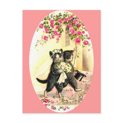 Kitty Cat Wedding Postcards