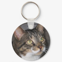 kitty chain keychains by jaylichtenberger kitty chain keychains