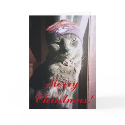 Kitty Christmas Notecard