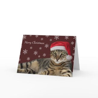 Kitty Christmas Card card