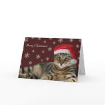 Kitty Christmas Card