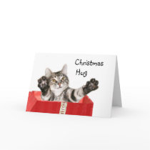 Kitty Christmas hug Cards