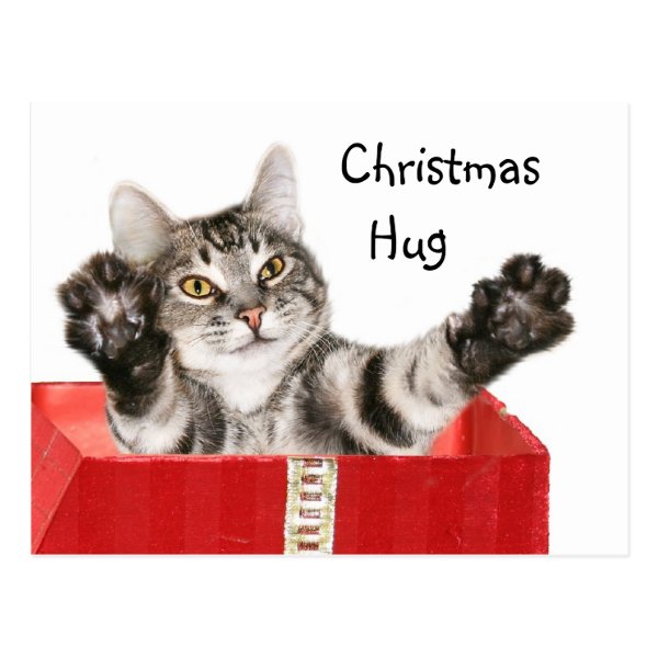 Kitty Christmas hug Post Cards
