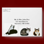 Kitty City Cats Envelope envelopes