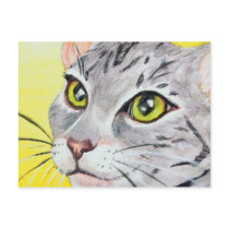 Kitty Closeup Postcard by xazy Kitty Closeup Postcard
