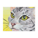Kitty Closeup Postcard