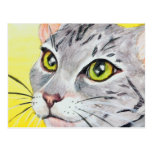 Kitty Closeup Postcard