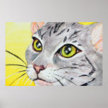 Kitty Closeup Posters