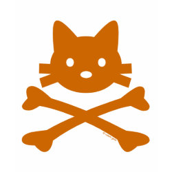 Kitty Crossbones Orange shirt