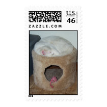 Kitty Curl postage by trdeckman Kitty Curl postage