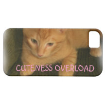 Kitty "CUTENESS OVERLOAD" iPhone 5 Case