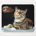 Kitty Dreams mousepad