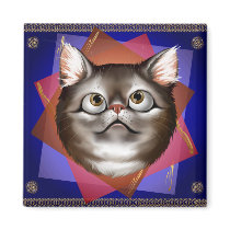 Kitty Expressions Magnet magnets