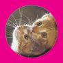 Kitty Eyes Magnet Kitty Eyes Magnet