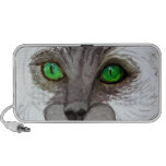Kitty Eyes speakers