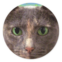 Kitty Face Sticker